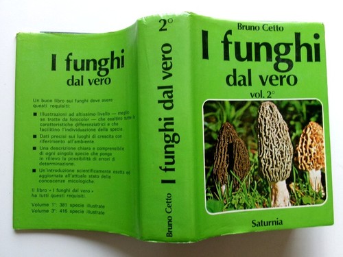 Funghi dal vero - funghi,