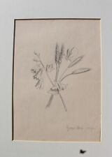 Quattro disegni a matita su carta raffiguranti fiori e piante