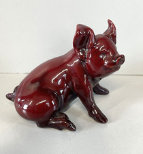 PICCOLO MAIALE GUIDO