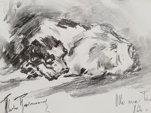 Aldo raimondi raro - raimondi:, pezzo