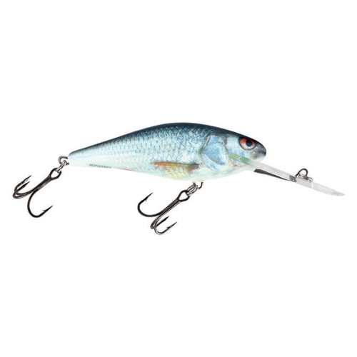 Salmo executor esche - salmo,