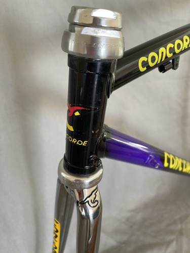 Concorde collstrop team - concorde, cm