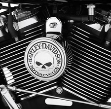 Harley Davidson Willie G Cover