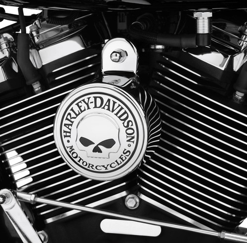 Harley davidson willie - willie, g
