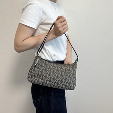 Christian Dior Trotter