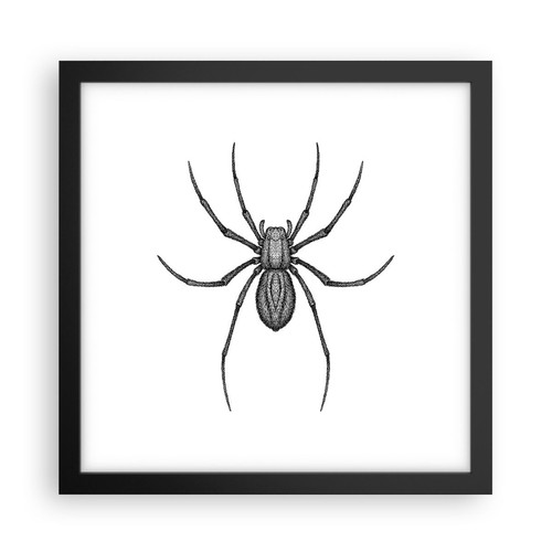 Poster 30x30cm ragno - poster,