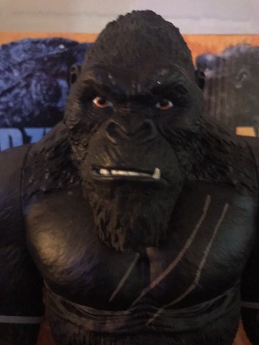 Godzilla kong monsterverse - godzilla, vs