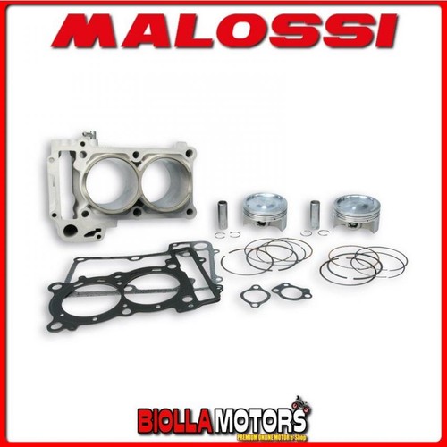 3113666 gruppo termico malossi - 3113666,