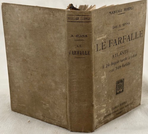 Farfalle atlante 24 - le,