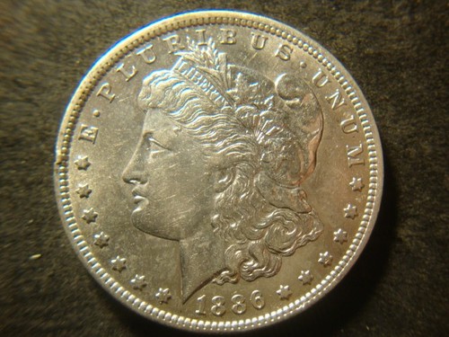 1886 solid morgan - au, head