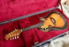 Electric Acoustic Guitar
