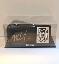 Guanto da boxe firmato Mike
