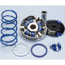 Polini Variator Kit 241.670