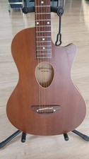 Chitarra acustica Esp