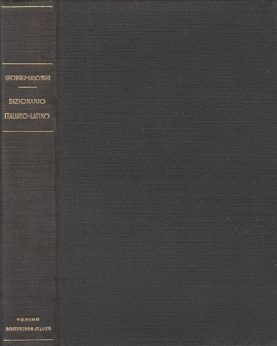 Dizionario della lingua