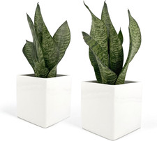 Set 2 Pcs, Vasi Quadrati in