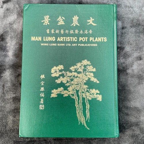 Man lung artistic - lung, plants