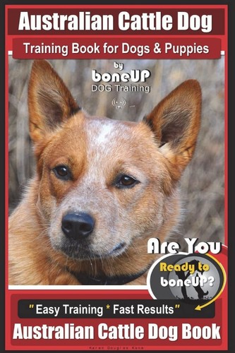 Australian cattle dog - dog, training
