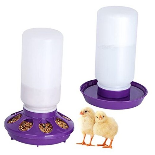 Distributore acqua pollo - distributore,
