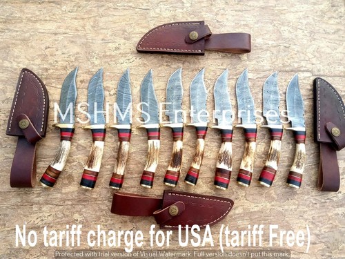 Lotto coltelli da - 10,