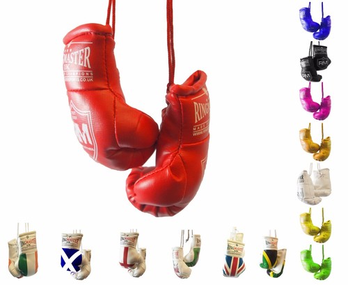 Ringmaster mini guantoni - ringmaster,