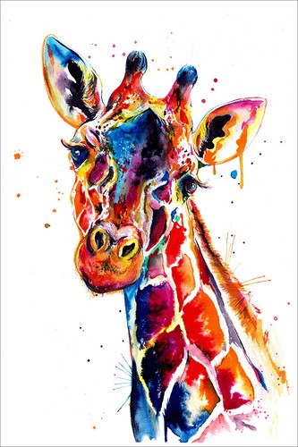 Colori giraffa animale pittura - colori,