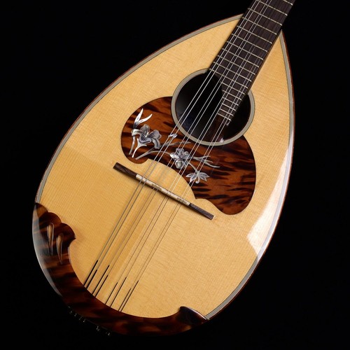 Calace mandolino usato - mandolino, 26