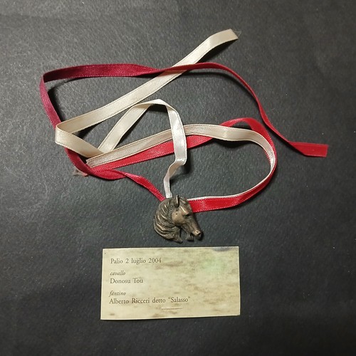 Palio siena giraffa - palio,
