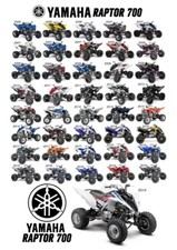 Yamaha Raptor 700 YFM vinile
