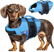 Giubbotti Di Salvataggio per Cani, Regolabile Salvagente per Animali Con Manico,