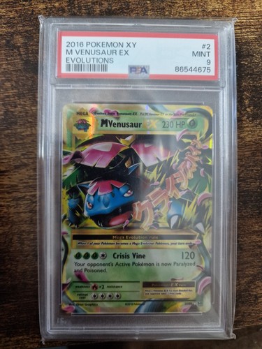 Venusaur pokemon xy - m,