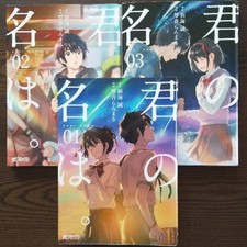 Your Name Manga Completo Vol