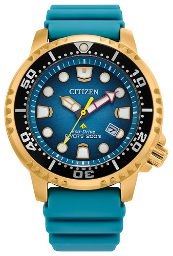 Citizen promaster dive - promaster,