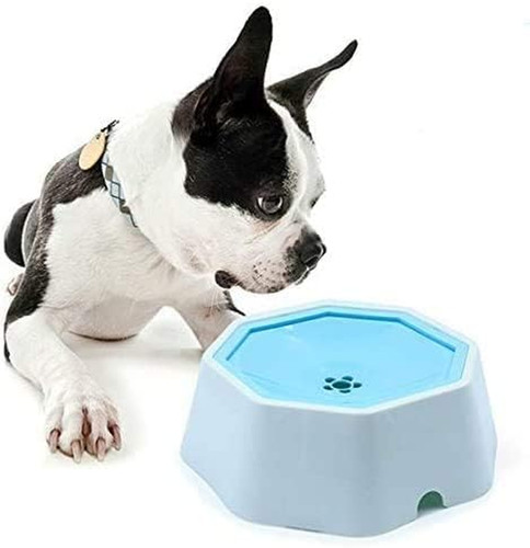 Ciotola galleggiante per cani