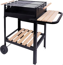 Barbecue Carbone E Legna a