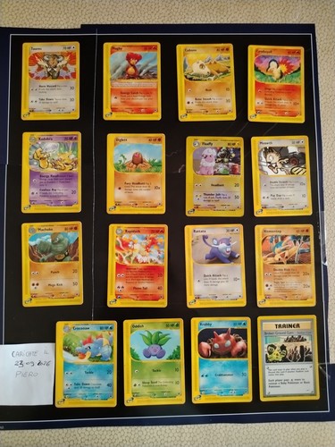 Pokemon card lot expedition - lot,