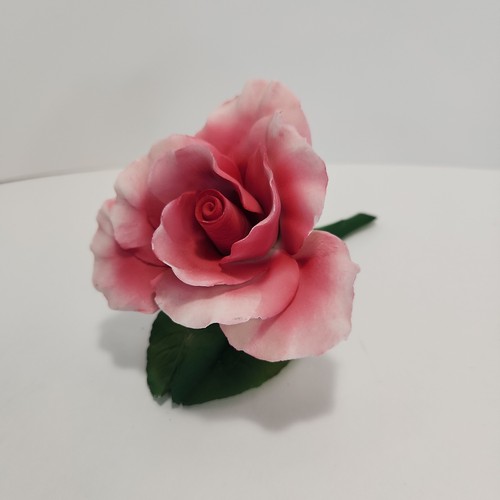 Rosa rosa rosa porcellana