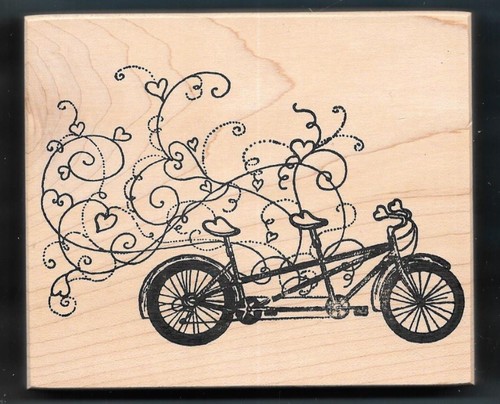 Bicicletta tandem costruita - bicicletta,