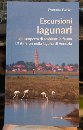 Escursioni lagunari - escursioni,