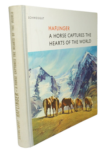 Haflinger horse captures - haflinger,