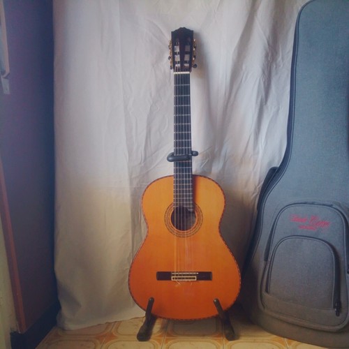 Chitarra classica salvador - classica,