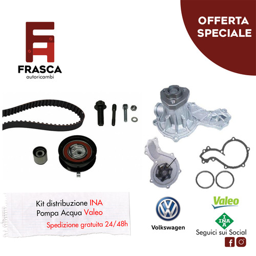 Kit distribuzione ina - distribuzione, pompa