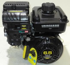 Motore Briggs & Stratton circa
