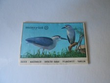 FIGURINA SAFARI N. 53 - ED