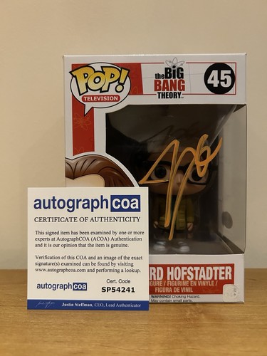 Leonard hofstadter the big - 45,