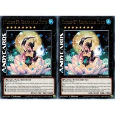 2x NUMERO 87: REGINA DELLA