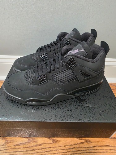 Jordan gatto nero 2025 - 4,