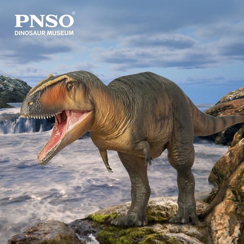 Pnso 2023 lucas - pnso,