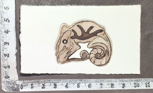 Wunderkammer exlibris 629 - an,