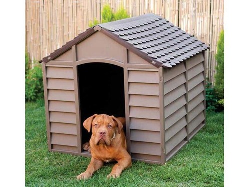 Cuccia per cani - cani, media